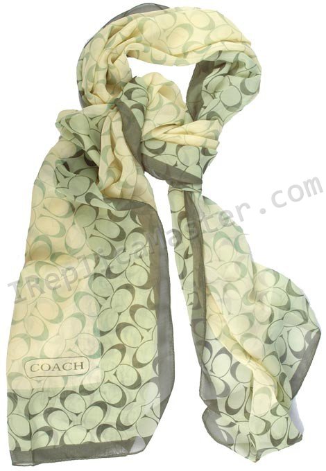 Coach Scarf Replica - Click Image to Close